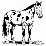 Charming Tobiano Paint Horse Coloring Pages 2