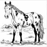Charming Tobiano Paint Horse Coloring Pages 3