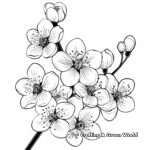 Cherry Blossom in Spring Coloring Sheets 1