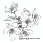 Cherry Blossom in Spring Coloring Sheets 4