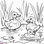 Children-Friendly Duck Pond Coloring Pages 1