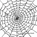 Classic Spider Web Coloring Pages 2