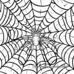 Classic Spider Web Coloring Pages 3