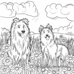 Collie in Play: Meadow-Scene Coloring Pages 1