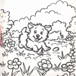 Collie in Play: Meadow-Scene Coloring Pages 4