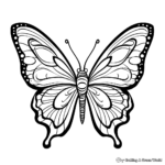 Colorful Butterfly & Insect Coloring Pages 3