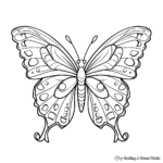 Colorful Butterfly & Insect Coloring Pages 4