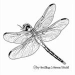 Colorful Dragonfly Coloring Sheets 2