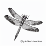 Colorful Dragonfly Coloring Sheets 4