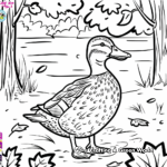 Colorful Mallard Duck in Autumn Scenery Coloring Pages 2