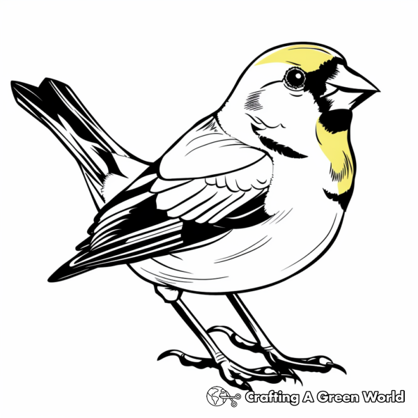 Yellow Coloring Pages - Free &amp; Printable!