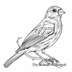 Colorful Yellow Finch Bird Coloring Pages 2