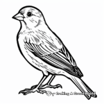 Colorful Yellow Finch Bird Coloring Pages 4