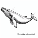Creatures of the Deep: Full Size Whale Coloring Pages 1