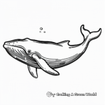Creatures of the Deep: Full Size Whale Coloring Pages 2