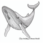 Creatures of the Deep: Full Size Whale Coloring Pages 4