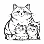 Cute Scottish Fold Cat Coloring Pages 2
