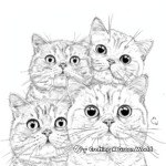 Cute Scottish Fold Cat Coloring Pages 4