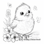 Cute Yellow Chick in Spring Coloring Pages 4