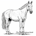 Dapple Gray Quarter Horse Coloring Pages 1