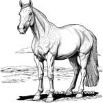 Dapple Gray Quarter Horse Coloring Pages 4