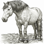 Dapple Grey Draft Horse Coloring Pages 2