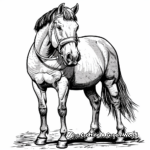 Dapple Grey Draft Horse Coloring Pages 4