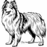 Day in the Life: Show Collie Coloring Pages 2