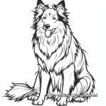 Day in the Life: Show Collie Coloring Pages 4
