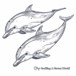 Deep Sea Blue Dolphin Coloring Pages 1