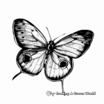 Delicate Butterfly Coloring Pages 2