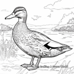 Delicate Mallard Duck in Spring Coloring Sheets 4