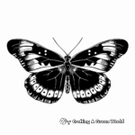 Delightful Butterfly Tracing Coloring Pages 1
