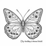 Delightful Butterfly Tracing Coloring Pages 2