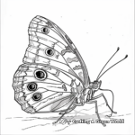 Delightful Butterfly Tracing Coloring Pages 3