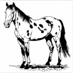 Delightful Tovero Paint Horse Coloring Pages 2