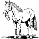 Delightful Tovero Paint Horse Coloring Pages 4