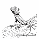 Desert Habitat of Frilled Lizard Coloring Pages 4