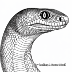 Detailed Adult Black Mamba Coloring Pages 2