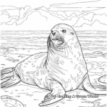 Detailed Adult Sea Lion Coloring Pages 2