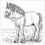 Detailed Ardennes Draft Horse Coloring Pages for Adults 3