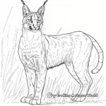 Detailed Caracal in Habitat Coloring Pages for Adults 3