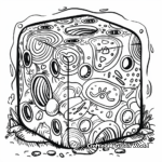 Detailed Fidget Cube Coloring Pages for Sagacity 2