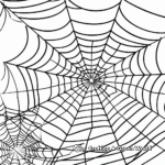 Detailed Garden Spider Web Coloring Pages 1