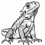 Detailed Illustrations of Frilled Lizard Pages 3