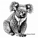 Detailed Koala and Baby Coloring Pages for Adults 1