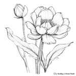 Detailed Lotus Flower Coloring Sheets 4