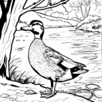 Detailed Mallard Duck on the River Coloring Pages 1