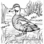 Detailed Mallard Duck on the River Coloring Pages 3
