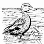 Detailed Mallard Duck on the River Coloring Pages 4
